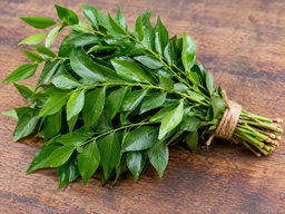 Curry leaves கருவேப்பிலை