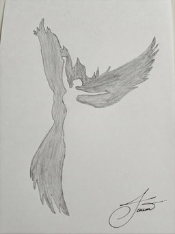 Flight of the Phoenix