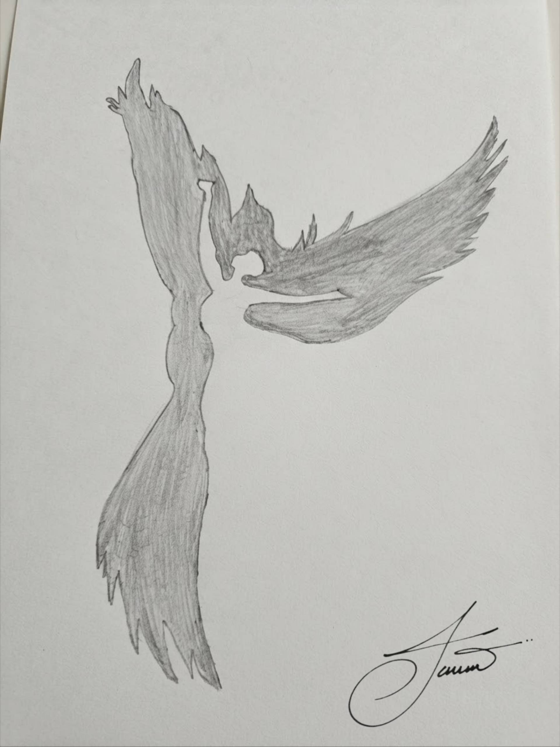 Flight of the Phoenix