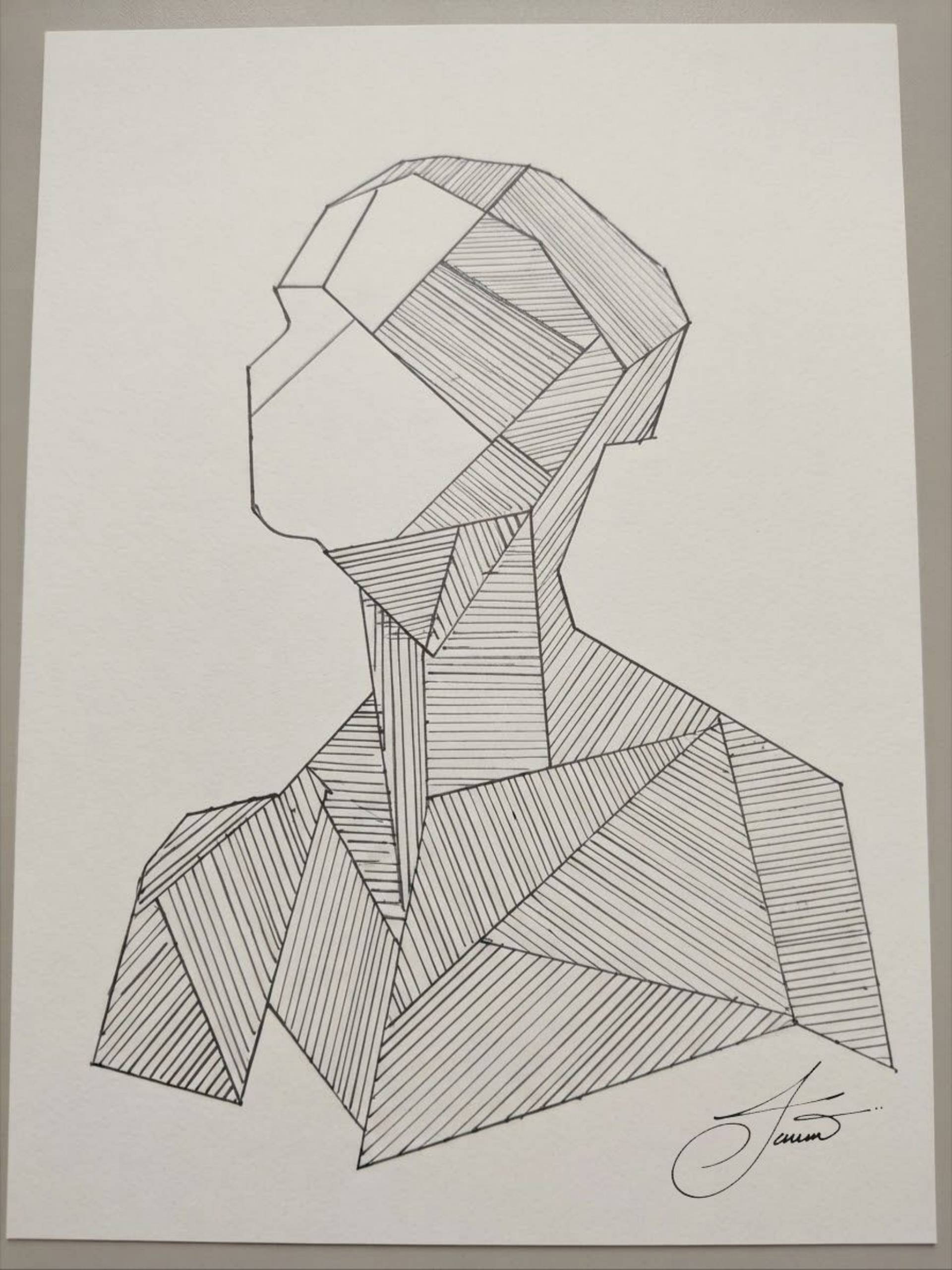 Geometric Silhouette