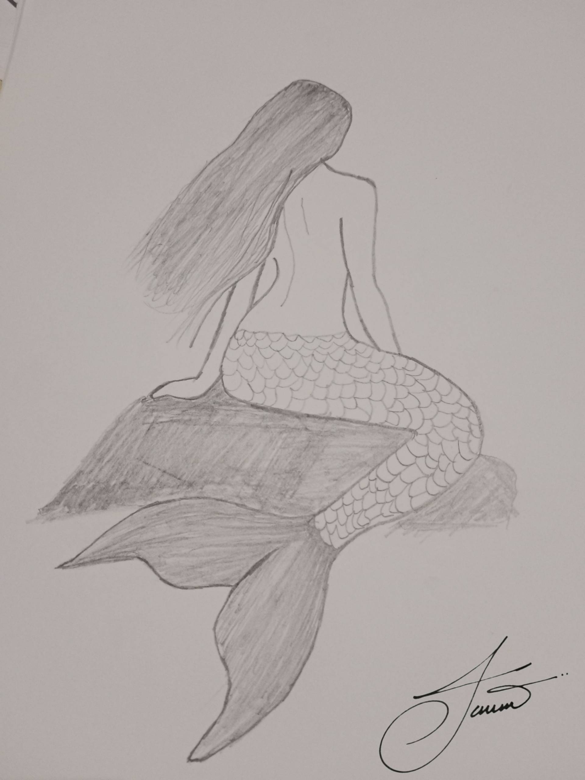Mysterious Mermaid