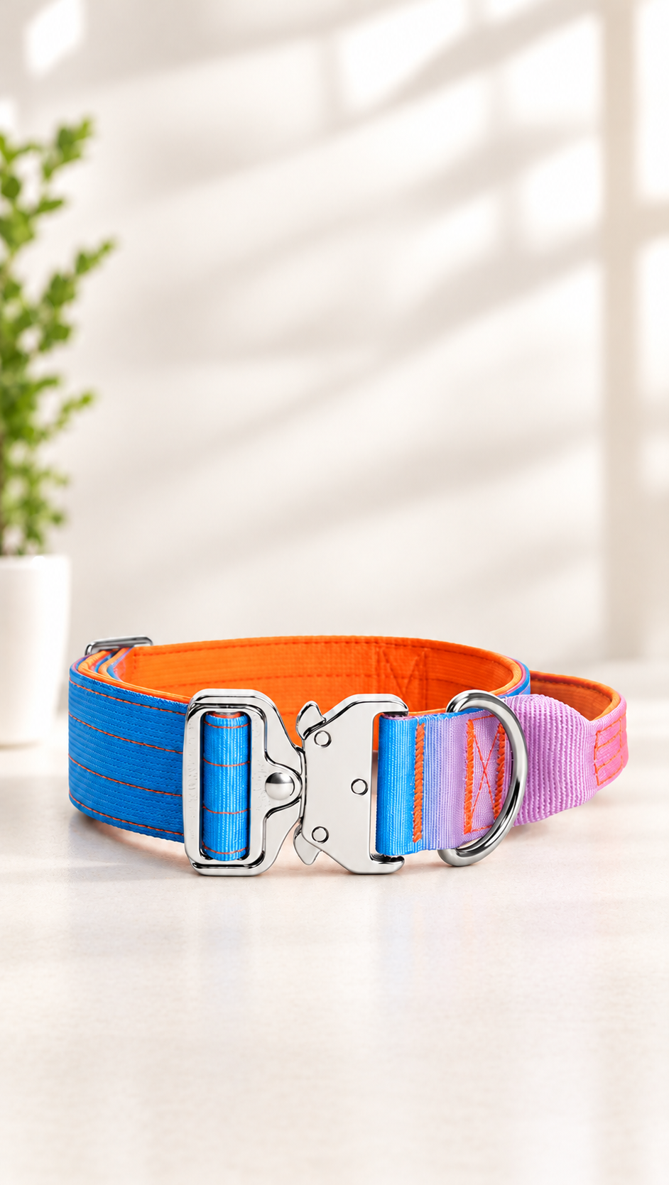 Sunset Gradient Tactical Collar + Leash