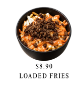 LOADED FRIES_0