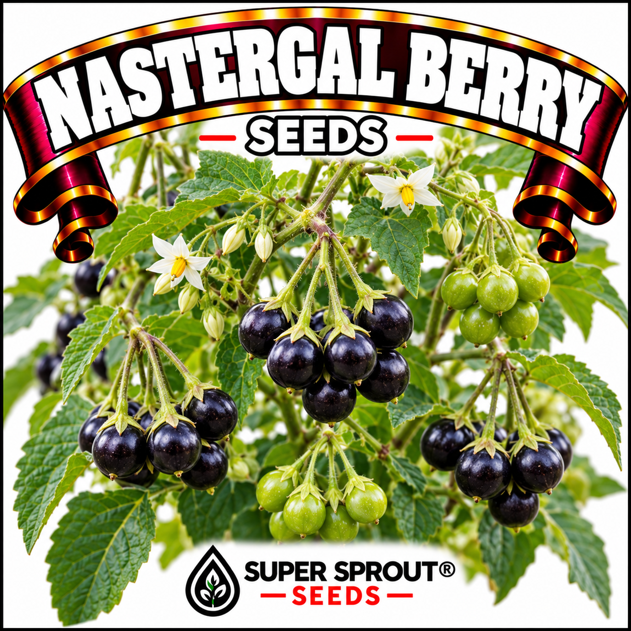 🍒NASTERGAL/AFRICAN NIGHTSHADE 🍒 x 20+ seeds