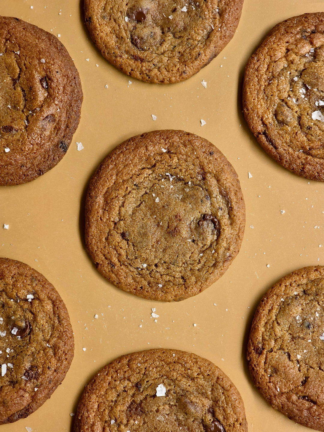 Chocolate Chips Big Cookie