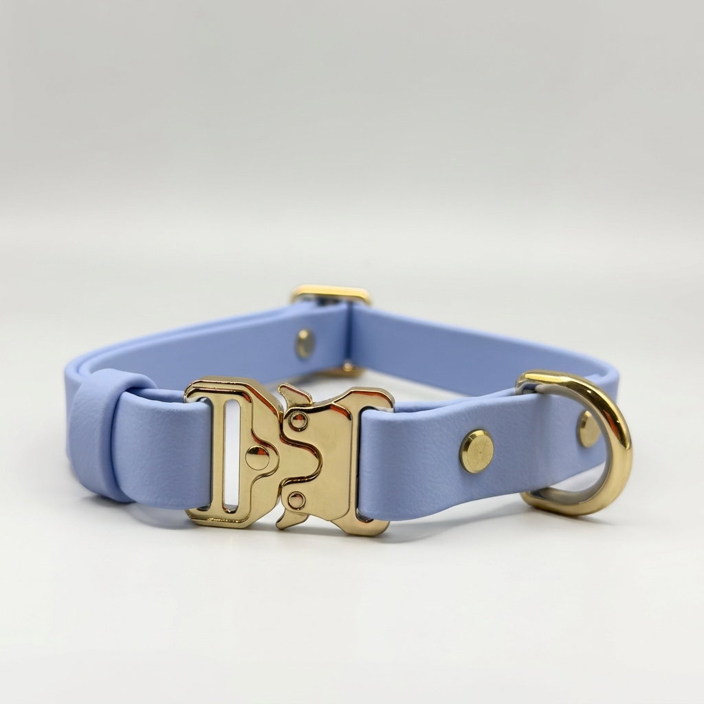 Classic Collar_15