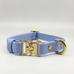 Classic Collar