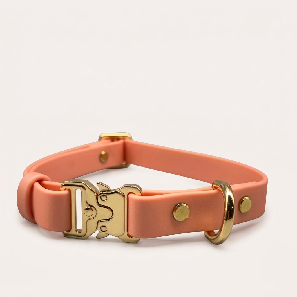 Classic Collar_18