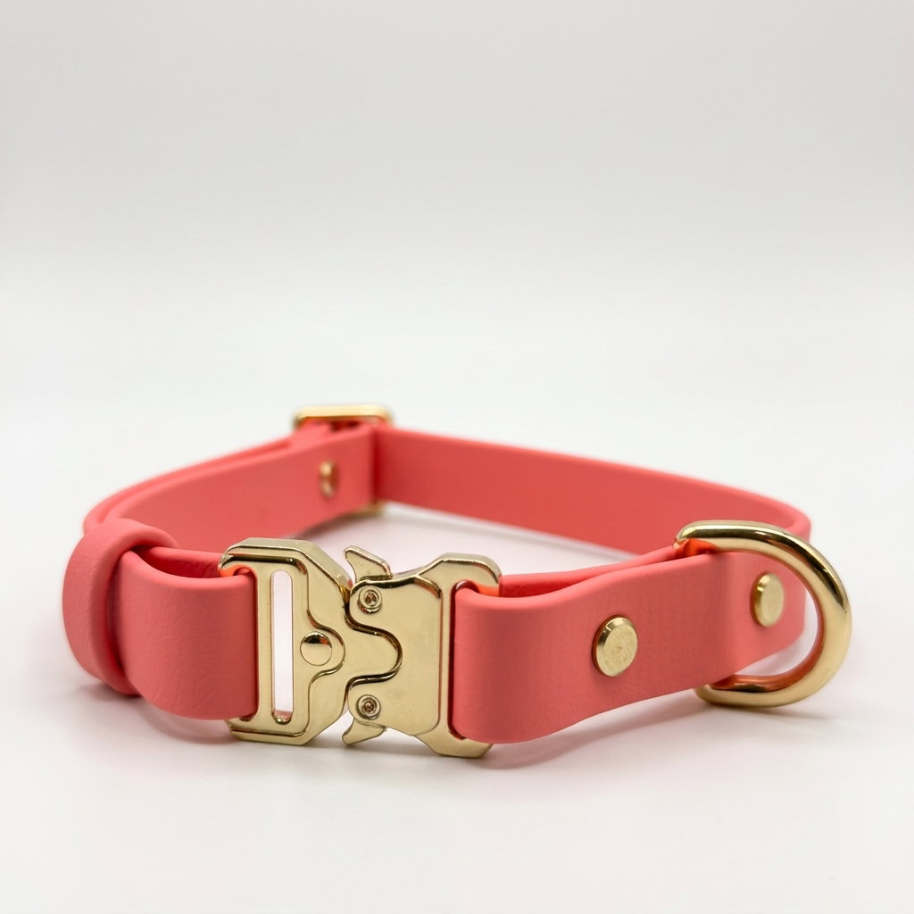Classic Collar_17