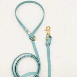 Biothane Leash