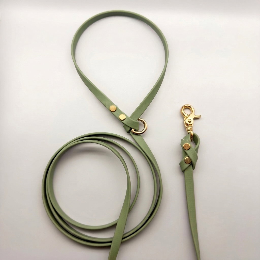 Biothane Leash_19