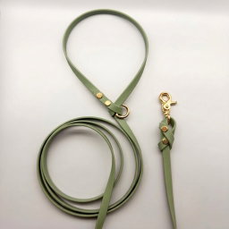 Biothane Leash