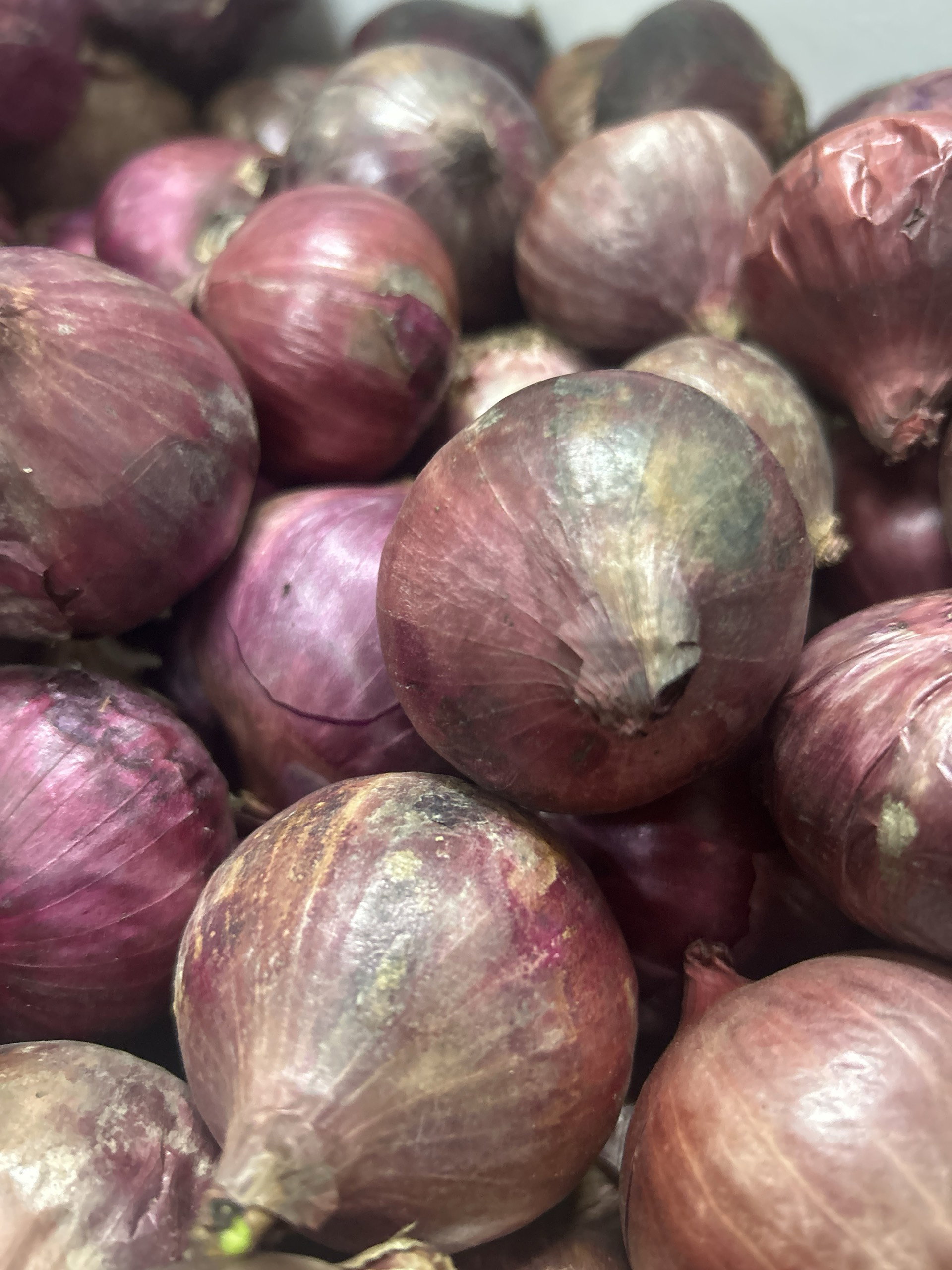 Onions 250g