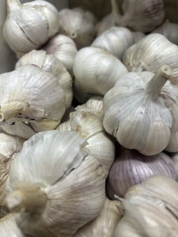 Garlic 250g
