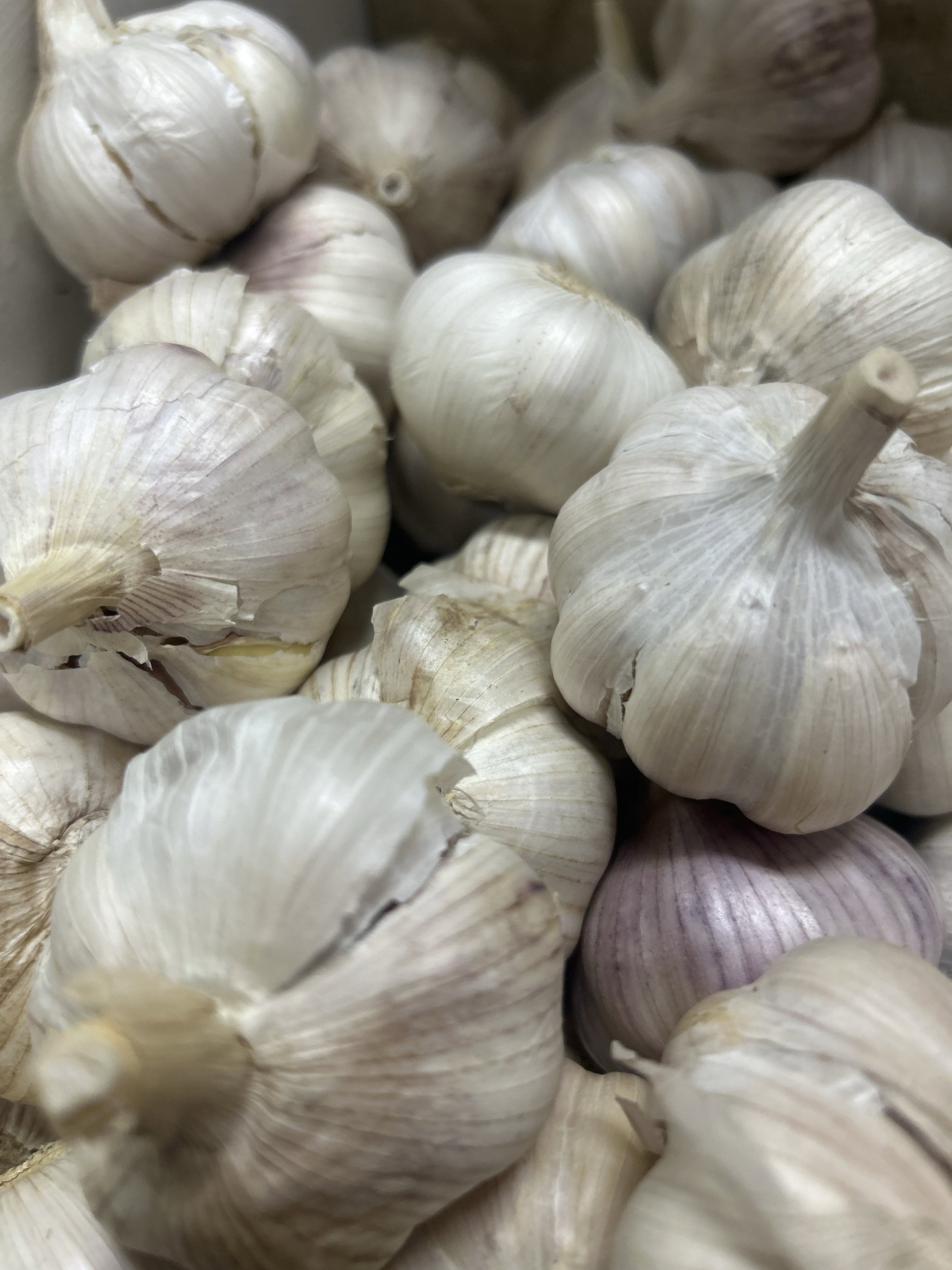 Garlic 250g