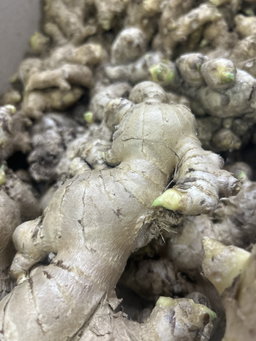Ginger 250g