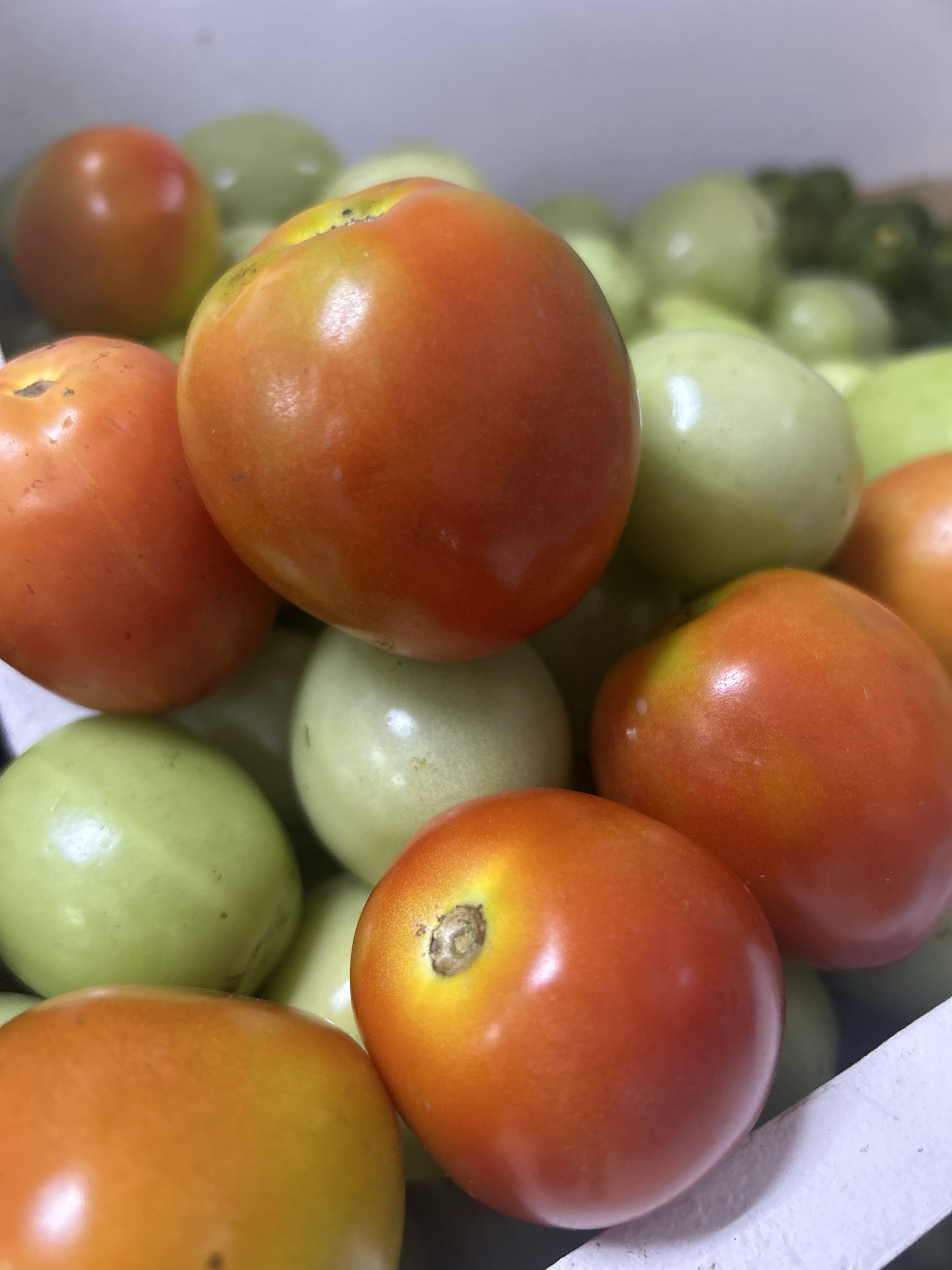Tomatoes 250g