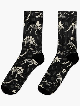 Dinosaur Fossils in Black Socks