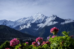 Poon hill - ghodepank -Trek