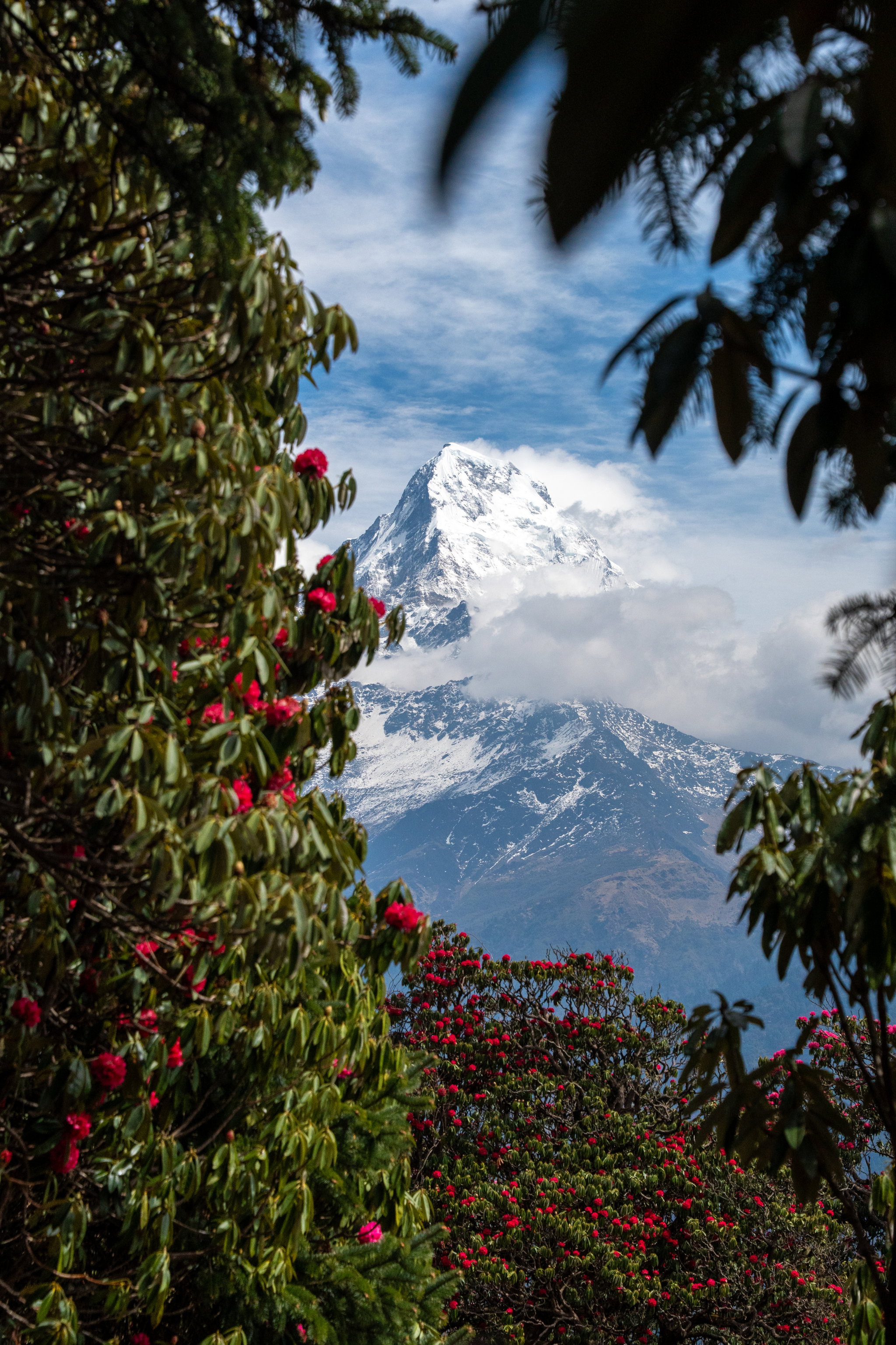 Poon hill - ghodepank -Trek_2