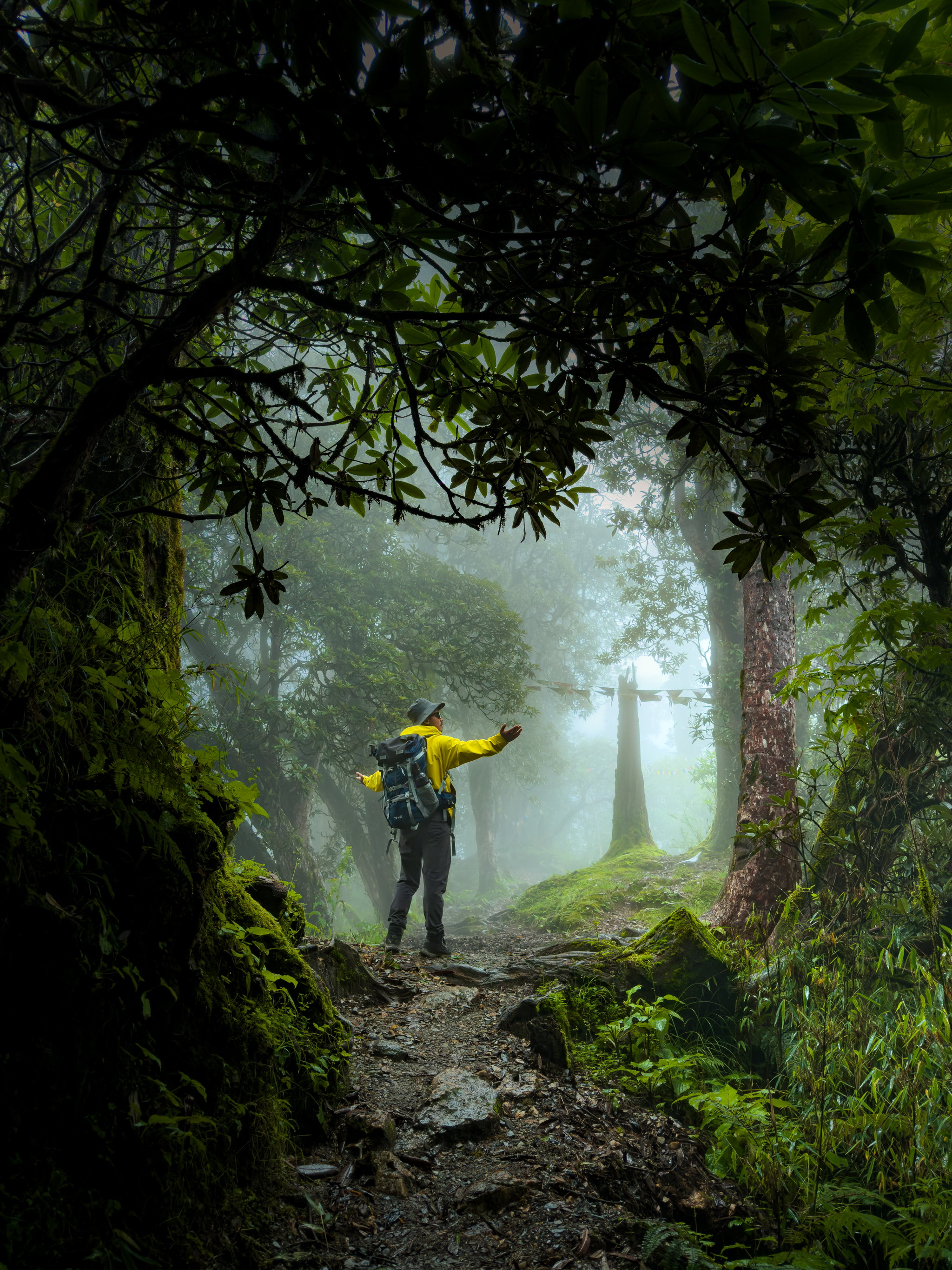 Poon hill - ghodepank -Trek_3