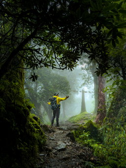 Poon hill - ghodepank -Trek