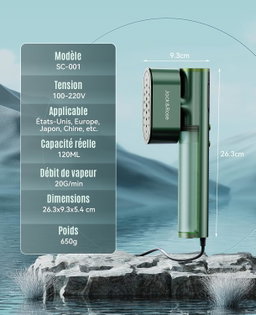 Repasser Vertical, Grand réservoir d'eau de 150 ml, 2 en 1 Steamer Chauffage rapide