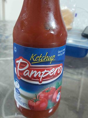 Ketchup Pampero 397g