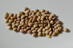 Lentejas 500g