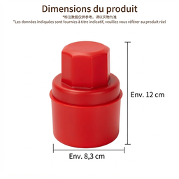 Brosse pour Lustrage Pneu