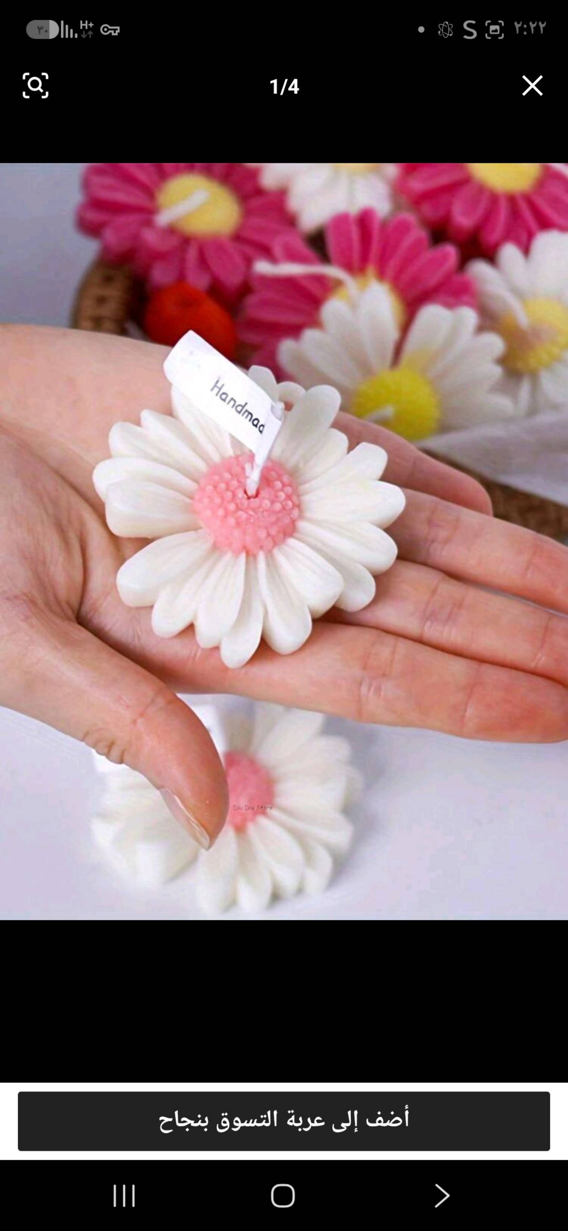 شمعة زهرة البابونج_0