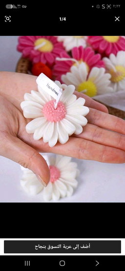 شمعة زهرة البابونج