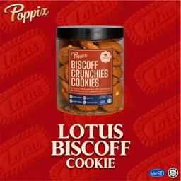 R Bucket Biscoff Choco Cookies