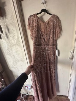 Adrianna Papell Beaded Mesh Maxi Dress Rose Gold 