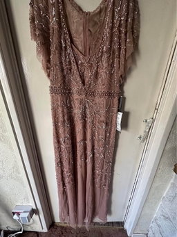 Adrianna Papell Beaded Mesh Maxi Dress Rose Gold 