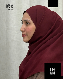 Basic Shawl