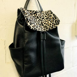 Switch Backpack