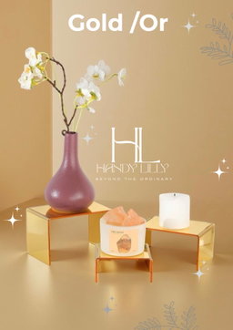 Acrylic Presentation Stands set of 5