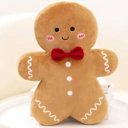 Cojin decorativo galleta