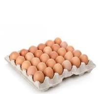 TELUR GRED A