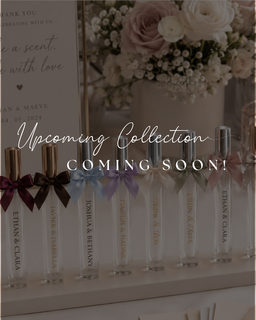 Upcoming Collection