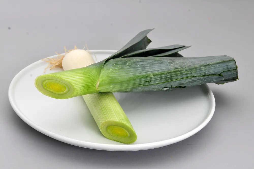[Veg] Leak 1kg