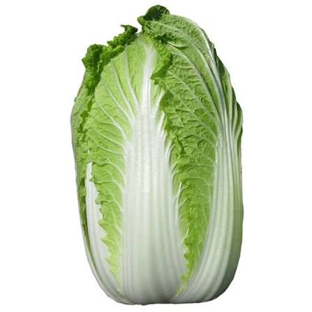 [Veg] Chinese Cabbage 1kg