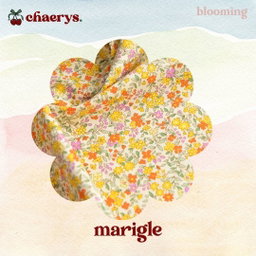 MINI Beauty Bag {Blooming}
