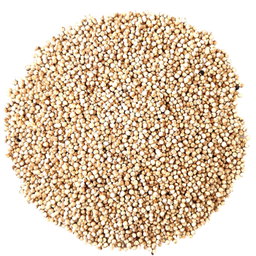 quinoa semilla x100g