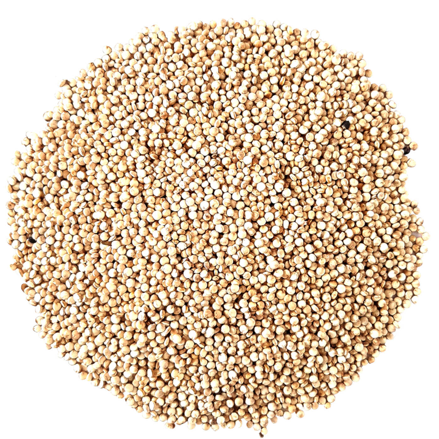 quinoa semilla x100g