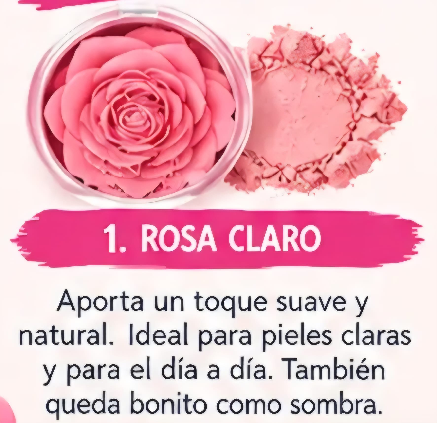 Colorete en Polvo en forma de Rosa_1