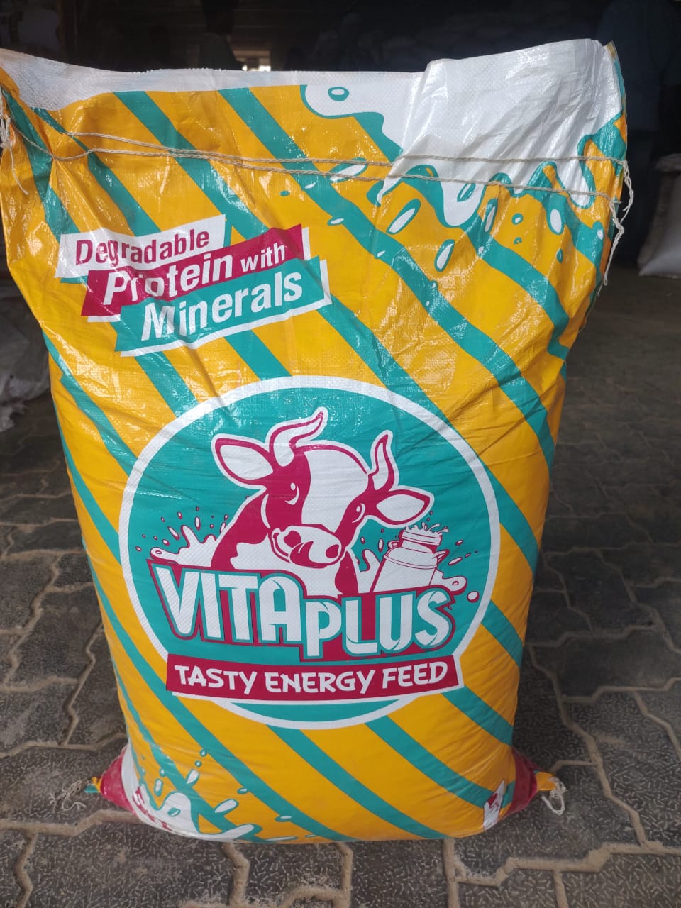 VITA PLUS