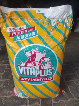 VITA PLUS