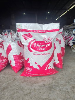 DHANIYA PLUS